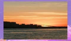 三角洲物资透视免费版下载（给我一个三角洲物资透视免费版下载链接）