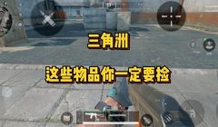 三角洲手游道具怎么拿出来看（给我一个三角洲手游道具的详细列表）