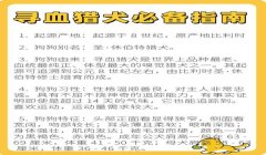 三角洲行动寻血猎犬价格（三角洲行动寻血猎犬皮肤价格）