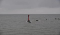 三角洲行动官方地图工具下载地址（给我三角洲行动官方地图工具下载链接）