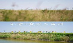 三角洲行动套包技巧（《三角洲行动》套包最快的方法）