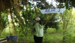 三角洲有官方软件吗（三角洲官方软件叫什么名？）